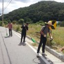 동천1통 네이버블로그