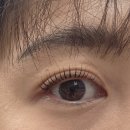 면목약국 - 중랑구 용마산로 328 | 면목역속눈썹펌 잘하는곳! 면목동 <헤븐브로우> 꼼꼼한 속눈썹펌 후기(ft. 전후 비교)
