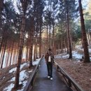 겨울바다 | 강릉 겨울여행 코스 추천｜발왕산 모노레일·알파카·영진해변 카페·주문진 겨울바다 후기