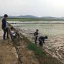 드림농장 이미지