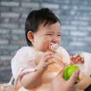 내돈내산 양산 더파티 돌잔치 후기 - 부산 양산 너와만나 돌스냅