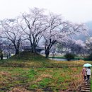 진주 용산리 용산사 대웅전 네이버블로그
