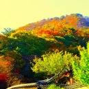 석과불식(碩果不食) 이미지