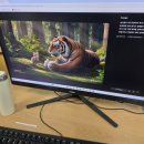 영가초등학교 이미지