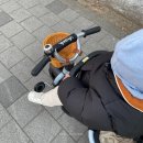 16개월 아기 자전거 삼천리 2024 비타민 트라이크 플러스 내돈내산 후기
