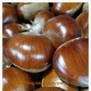 오향골농장 이미지