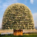 2025 마산 가고파 국화 축제 2025. 1. 5 이미지