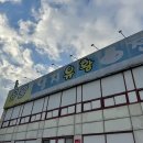양지유황천 | [양지유황천]국내온천 수질 1등 솔직후기 겨울실내레저 온천추천(+국내온천수질비교)