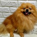 아이구루 이미지