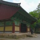 여왕과 나이팅게일 이미지