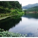 중동 881-3 이미지