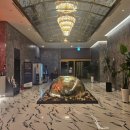 스타비아호텔 | 김포 애견동반 스타비아호텔 연박 후기