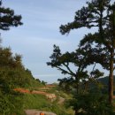 남해-259 이미지