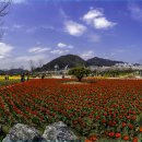 문화체육공원 이미지