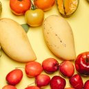 파란망고 이미지