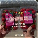 풀잎하우스 | [속초] 응골딸기 / 강원도 이색 체험 딸기 수확 팜스테이 속초 여행 가볼만한곳 가족여행 연인 친구들...