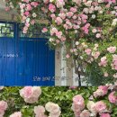 수원시 팔달구 창룡대로104번길 이미지