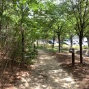 이곡생수공원 이미지