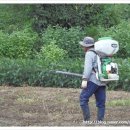 경운농장 이미지