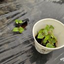 서수원농자재마트 이미지