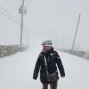 대설(大雪) 이미지