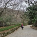 대흥사성보박물관 | 남도차문화기행, 대흥사, 일지암(一枝庵), 초의선사(草衣禪師), 다선일치(茶禪一致), 자우홍련사(紫芋...