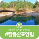 군청 세븐일레븐 옆 | [칼봉산 자연휴양림] 이국적인 자연풍경을 지닌 숨은 산책로 탐방기(2026)