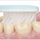 샘치과의원 이미지