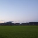 그리스도친환경 네이버블로그