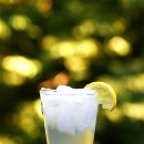 수목원피씨 이미지