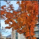 바로 행정사사무소 이미지