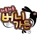 팝코리아 주식회사 이미지