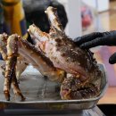 일조유통 이미지