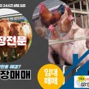 개전목장 네이버블로그
