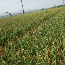 만재농장 이미지