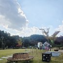 진안군 가위박물관 | 진안 구석구석 스탬프투어 이벤트 아이랑 가볼만한 곳 11월30일까지 참여가능