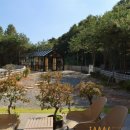 카페독채 이미지