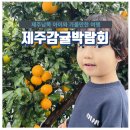 신발농자재 | 2023년 제주감귤박람회 일정과 체험예약 그리고 작년 방문 후기