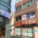 광주 화정동 타로, 책 그리고 고양이와 함께하는 서점서점