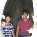 할렐루야농장 이미지