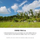 연평농장 이미지