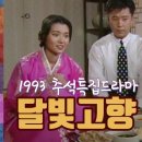 달빛고향 장서희, 홍학표 (1993/09/29) 이미지