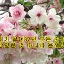 은혜 - 손경민 목사(원곡자), 김정희 사모 이미지