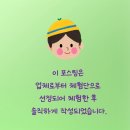 더치나인 앞 횡단보도 | 초경량 트라이크! 외출, 등원 필수템!파파야나인 디나인트라이크
