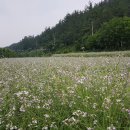 토종한의원