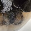 디에이치코 이미지