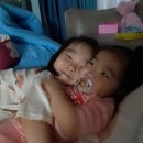 회뜨는 달인 이미지