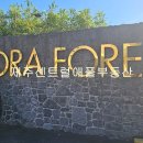 제주센트럴애플부동산중개