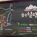 초례산 숲속 힐링로드 이미지