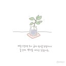 피아노숲 이미지